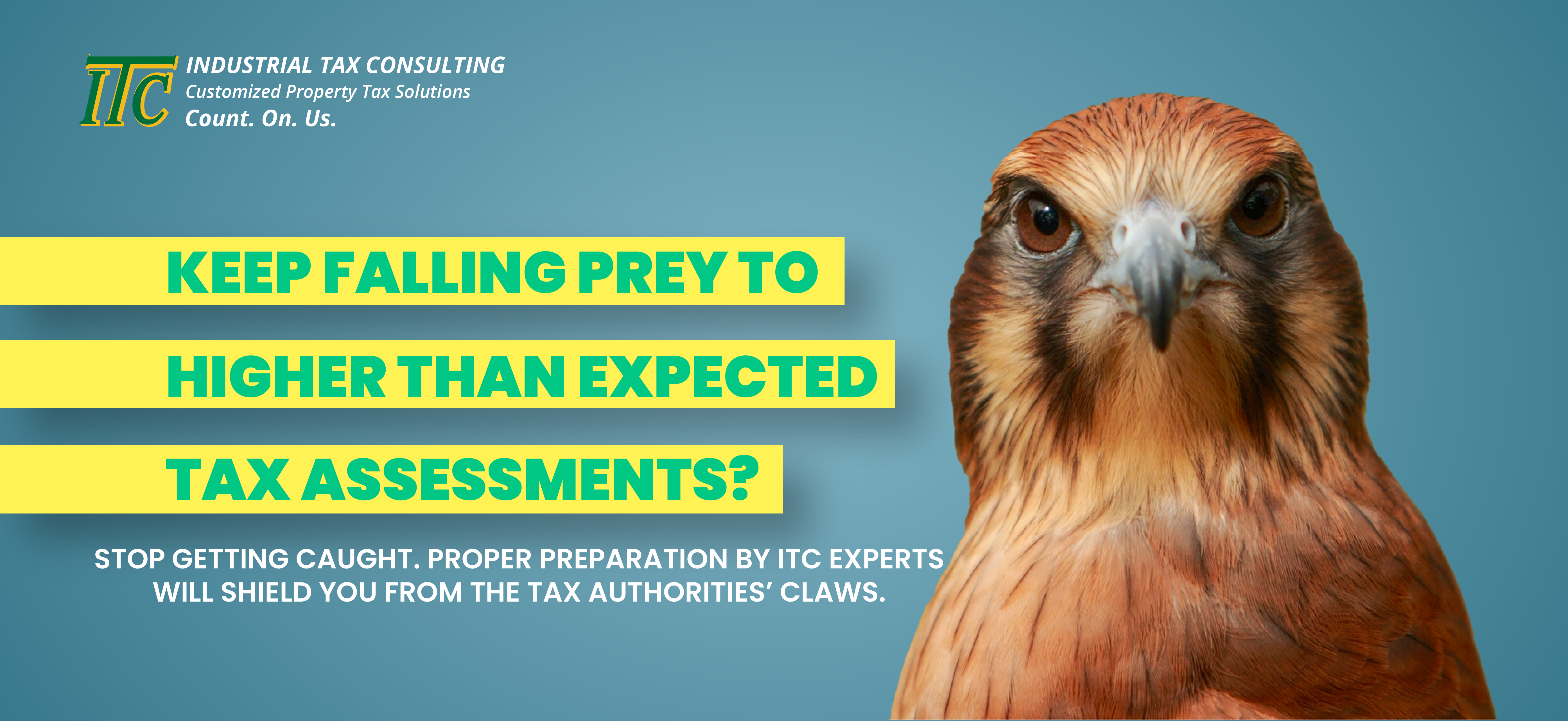 ITC Tax Assessment ad with a hawk